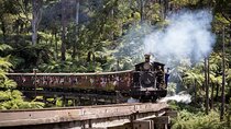 Melbourne Steam Train Penguin Island Day Tour