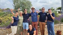 Lavender Small-Group Tour In Valensole from Marseille
