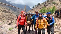 3 Day Toubkal Trek with a professional guide (private transfers)