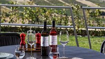 Discover Greek Wine Country: Meal and Wine Tasting at Wine Estate