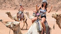 Enjoy a Sunset Camel Ride & Barbecue Lunch - Agadir