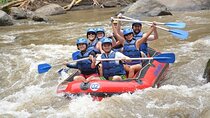 Bali Rafting 2 Hours with Buffet Lunch