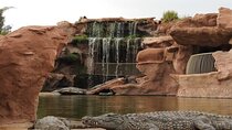 Visit to Croco Park with Transfer & Admission Tickets - Agadir