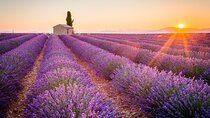 Lavender Fields and Verdon Gorge Private Adventure from Nice