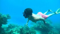 Phi Phi & Khai Islands Speedboat Tour from Phuket with Snorkeling
