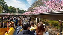 Tokyo: Open Top Sightseeing Bus with Audio Guide