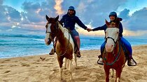 Sharm El Sheikh Horseback Riding with Pickup and Drop-off