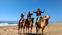 camel rights in Tangier