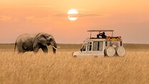 2 Days Private Budget Safari to Tarangire NP & Ngorongoro Crater 