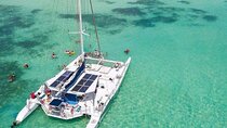 Saona Island Catamaran Cruise with Natural Pool, Lunch & Open Bar