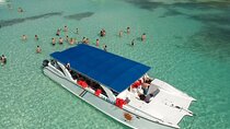 Saona Island Catamaran Cruise with Natural Pool, Lunch & Open Bar