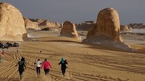 Private 2 Days 1 Night Bahariya Oasis Desert Camping Tour