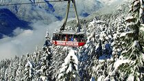 Private Tour of Capilano Suspension Bridge & Grouse Mountain.