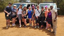 Nairobi National Park, Elephant Orphanage and Giraffe Center Tour