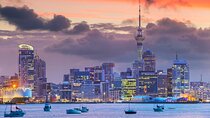 Auckland Sightseeing Half Day Tour