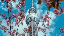 Full Day Private Tokyo Sightseeing Tour