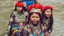 Embera Village and Hidden Waterfall Charges River Tour 