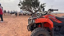 Goat on Trees & Desert Quad Biking Including hotel Transfers