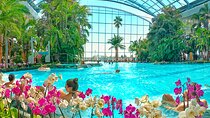 Therme Bucharest Tickets and Water Theme Park
