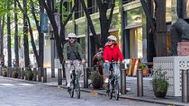3hr Private E-bike Tours in Tokyo, Starting at your hotel