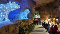Paris to Valkenburg NL Cave Christmas Market Daytrip