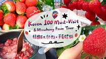 Strawberry Picking+Nami Island+Eobi Valley+Garden Lighting Fest