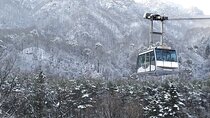 Mt. Seorak and Nami Island and Eobi Ice Valley from Seoul 