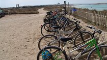 Ibiza Formentera Bike Tour with Transfer and Fast Ferry