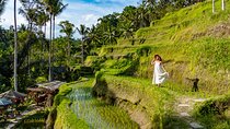 Ubud All-Inclusive Tour with Swing and Lunch