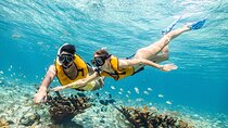 Cancun Adventure: Reef Snorkeling & Parasailing Experience