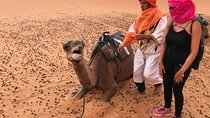 5-Days Private Desert Tour from Marrakech to Agadir or Taghazout