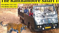 Ranthambore National Park Canter Safari Booking for 20 Seater