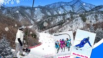 Elysian Gangchon Ski Resort One Day Tour