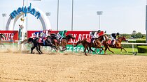 Dubai Horse Racing World Cup 2025 At Meydan