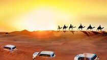Dubai Marvels and Desert Thrills with Safari Adventure
