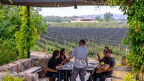 2 Wineries and 1 Distillery Full Day Tour with Lunch in Mendoza