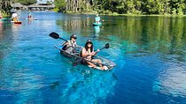 Silver Springs: Clear Kayaking Wildlife Tour