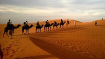 Fes to Marrakech: 3-Day Desert Tour