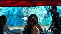 Wynwood Walls Admission and Neighborhood Buggy Experience