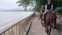 Phuket Eco Friendly Beach Horse Riding Experience