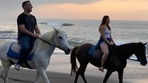 Bali Horse Riding Seminyak Beach Experience Private Transport