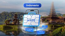 Indonesia eSIM (3 to 30 days. Up to 60GB of data)