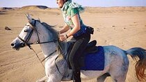 Explore The Desert &The Sea on a Horse Riding Cruise in Hurghada