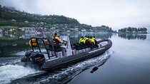 Scenic Hardangerfjord & Fyksesund RIB adventure from Norheimsund