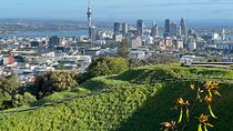 Half-Day Tour: AUCKLAND CITY Highlights with Hotel Pickup