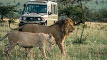 4 Days Tanzania Budget Safari