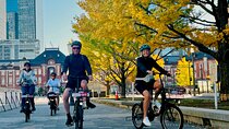 3h Tokyo E-Bike Tour: Hidden Gems, and Local Life with guide