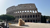 Colosseum and Ancient Rome Private Guided Tour and Ticket Entry