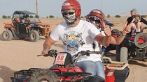 Quad Bike Private Safari Experience in Luxor