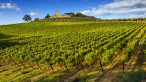 Tuscany Wine Tour from Florence